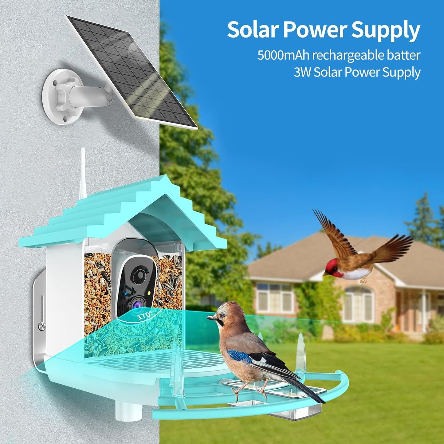 Bird Feeder With Camera, AI Identify Birds Species, Smart Birds Camera With Solar Powered, Auto Record 2K Birds Video In Backyard, Instant Notifications, Ideal Gifts For Family And Bird Lovers