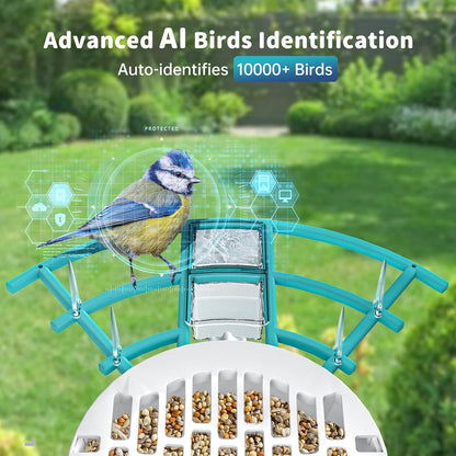 Bird Feeder With Camera, AI Identify Birds Species, Smart Birds Camera With Solar Powered, Auto Record 2K Birds Video In Backyard, Instant Notifications, Ideal Gifts For Family And Bird Lovers