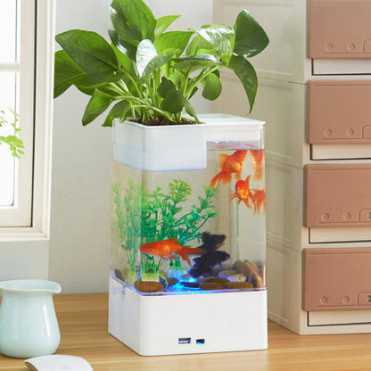 Desktop acrylic transparent fish tank