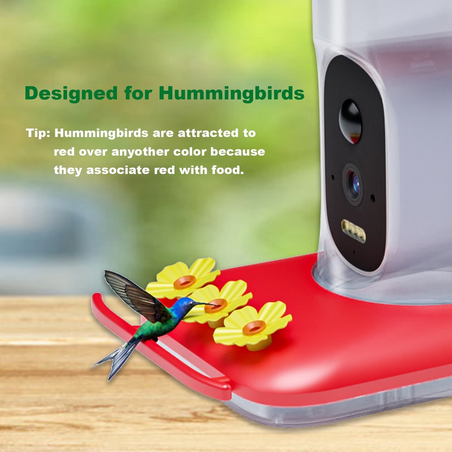Intelligent Visual Hummingbird Water Feeder 5MP Pixel Outdoor HD