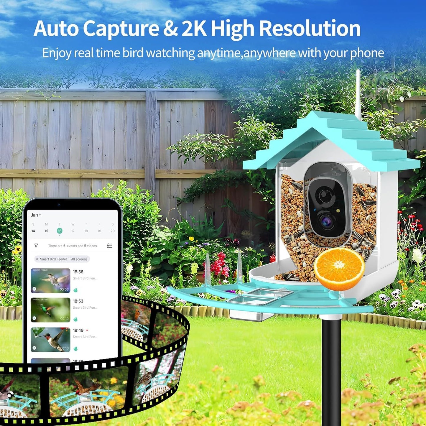 Bird Feeder With Camera, AI Identify Birds Species, Smart Birds Camera With Solar Powered, Auto Record 2K Birds Video In Backyard, Instant Notifications, Ideal Gifts For Family And Bird Lovers