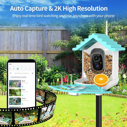 Bird Feeder With Camera, AI Identify Birds Species, Smart Birds Camera With Solar Powered, Auto Record 2K Birds Video In Backyard, Instant Notifications, Ideal Gifts For Family And Bird Lovers