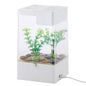 Desktop acrylic transparent fish tank