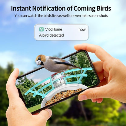 Bird Feeder With Camera, AI Identify Birds Species, Smart Birds Camera With Solar Powered, Auto Record 2K Birds Video In Backyard, Instant Notifications, Ideal Gifts For Family And Bird Lovers