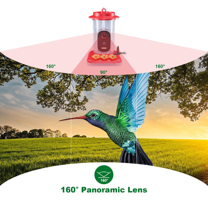 Intelligent Visual Hummingbird Water Feeder 5MP Pixel Outdoor HD