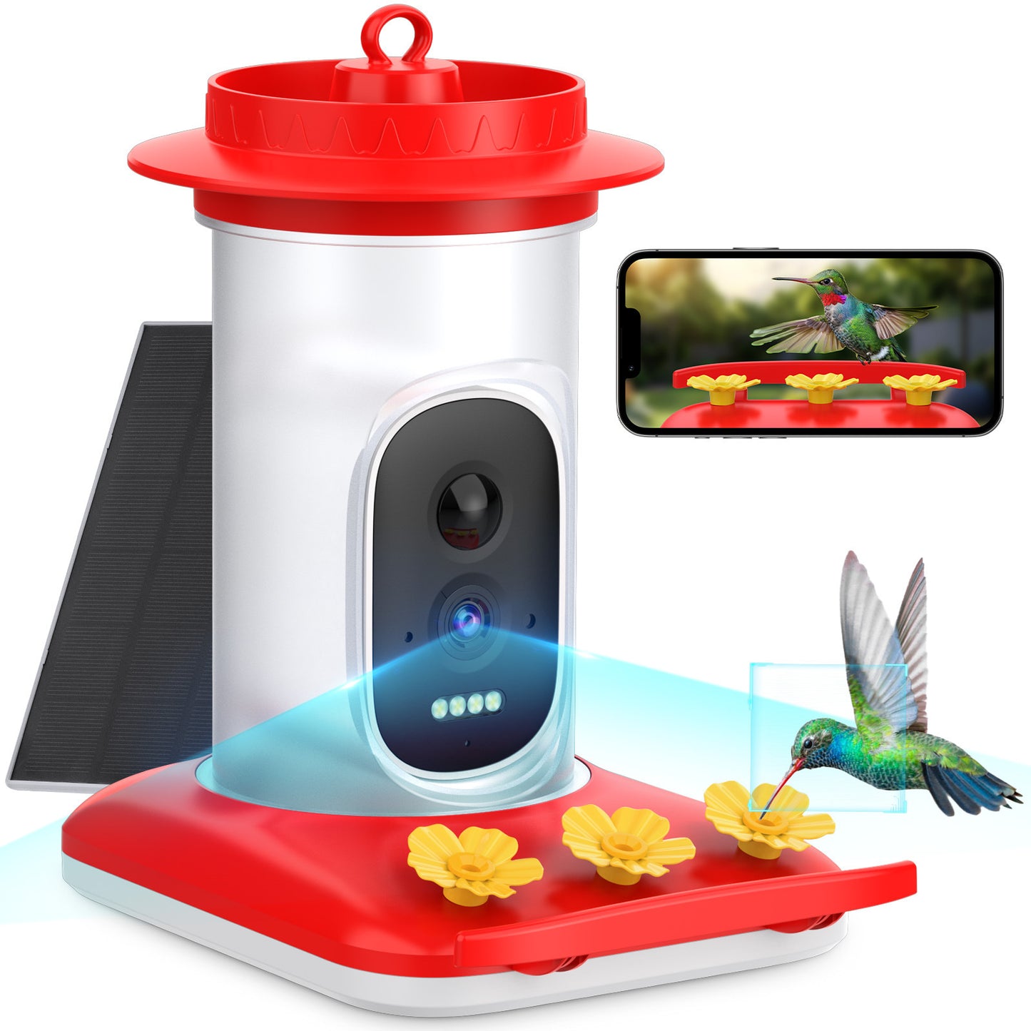 Intelligent Visual Hummingbird Water Feeder 5MP Pixel Outdoor HD